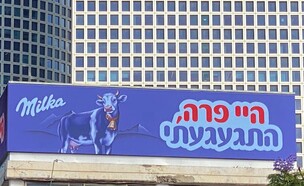 מילקה מפרגנת למתחרה עלית (צילום: ברוקנר יער לוי)
