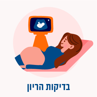 בדיקות הריון