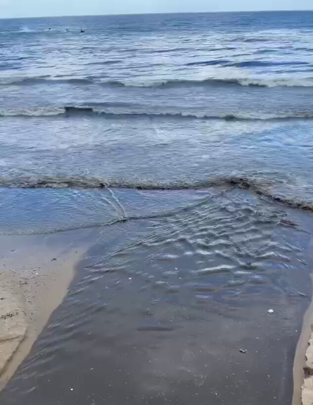 חופי תל אביב נצבעו בשחור (צילום: איריס קדישמן) חופי תל אביב נצבעו בשחור (צילום: איריס קדישמן)