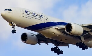מטוס אל על  (צילום: Ronen Fefer, shutterstock)