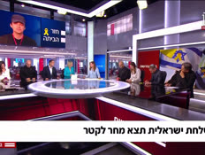 20mishlahat_vtr2_n20250512_v1 (צילום: חדשות)