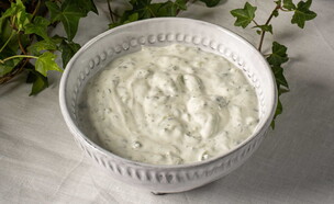 צזיקי של חיים כהן (צילום: אלון ולנסי, קפה פיצי)