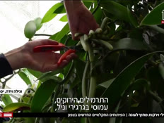 varon_vtr2_n20250603_v1 (צילום: חדשות)