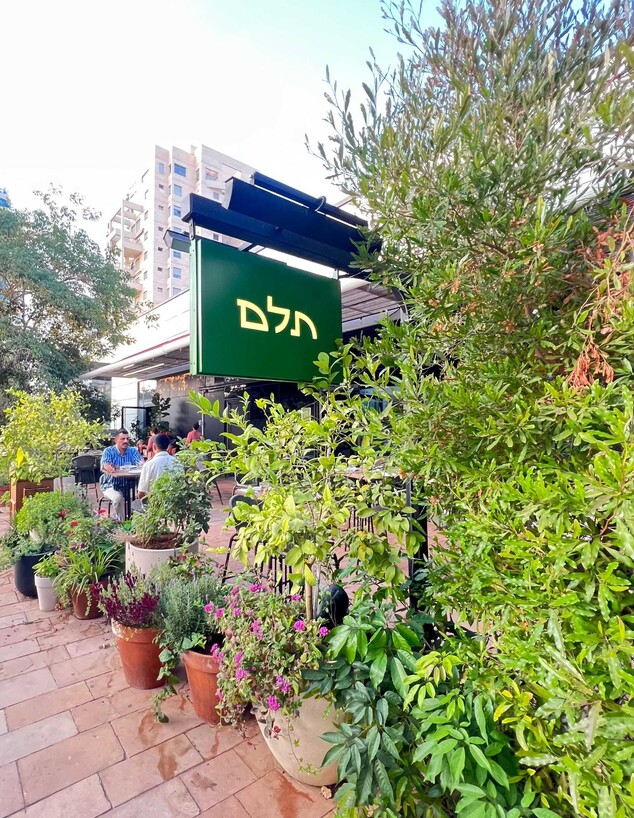 מסעדת תלם בכוכב הצפון (צילום: שחף סגל, יחסי ציבור) מסעדת תלם בכוכב הצפון (צילום: שחף סגל, יחסי ציבור)